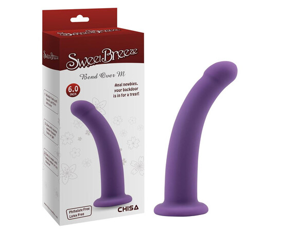 Anal dildo Bend Over M Purple reviews and discounts sex shop