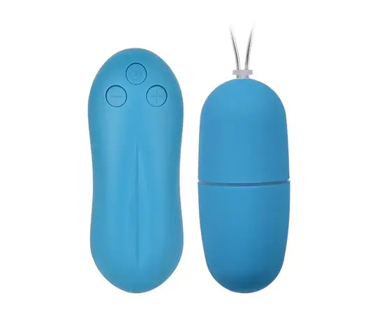 Vibrator Wireless Vibrating Egg Blue 20 speeds reviews and discounts sex shop